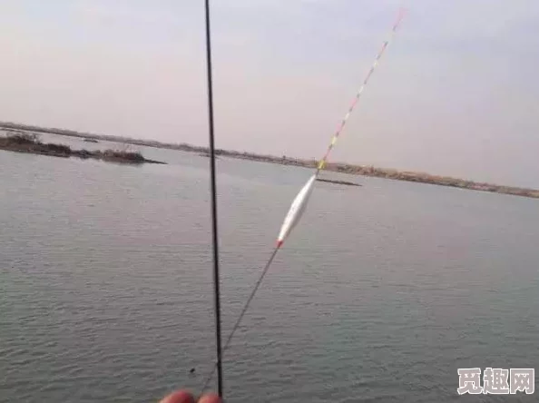 欢乐钓鱼大师二次咬钩技巧详解，轻松掌握高效垂钓秘诀