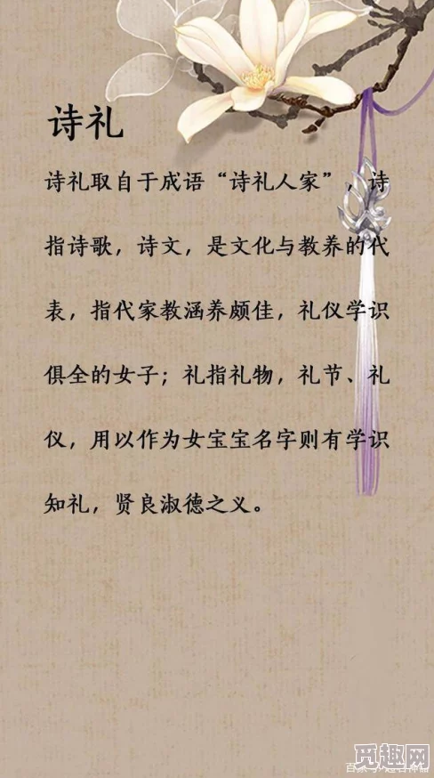 追寻归龙风尚，揭秘潮寒衣潮流精选推荐