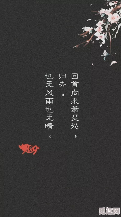 追寻归龙风尚，揭秘潮寒衣潮流精选推荐