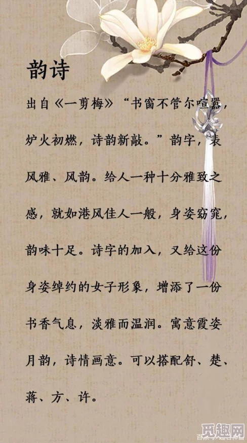 追寻归龙风尚，揭秘潮寒衣潮流精选推荐