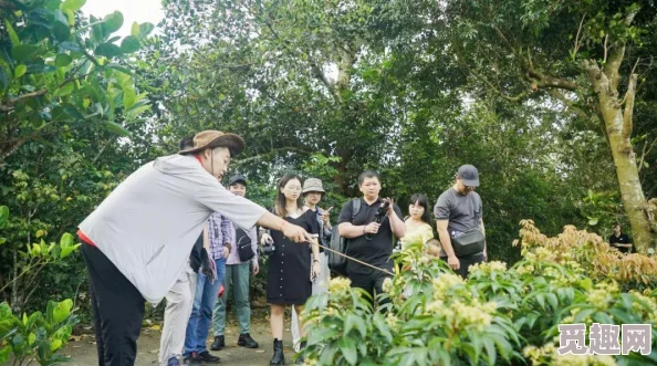 江湖悠悠果树培养，市场行情与价格浮动分析指南