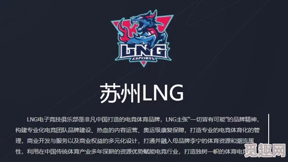 2025年电竞热点：LNG战队成员2023至2025年变动及最新阵容揭秘