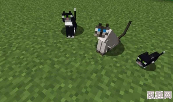 2025年我的世界高效抓猫技巧与最新养猫玩法解析