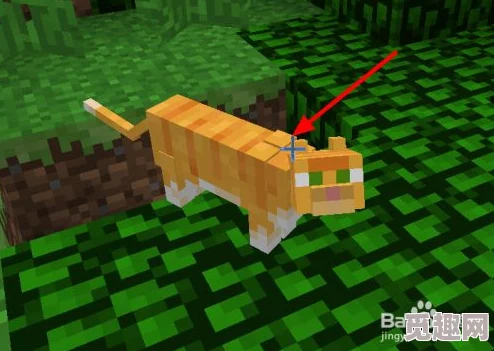 2025年我的世界高效抓猫技巧与最新养猫玩法解析