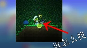 2025年泰拉瑞亚高效寻找附魔剑冢的最新方法与技巧